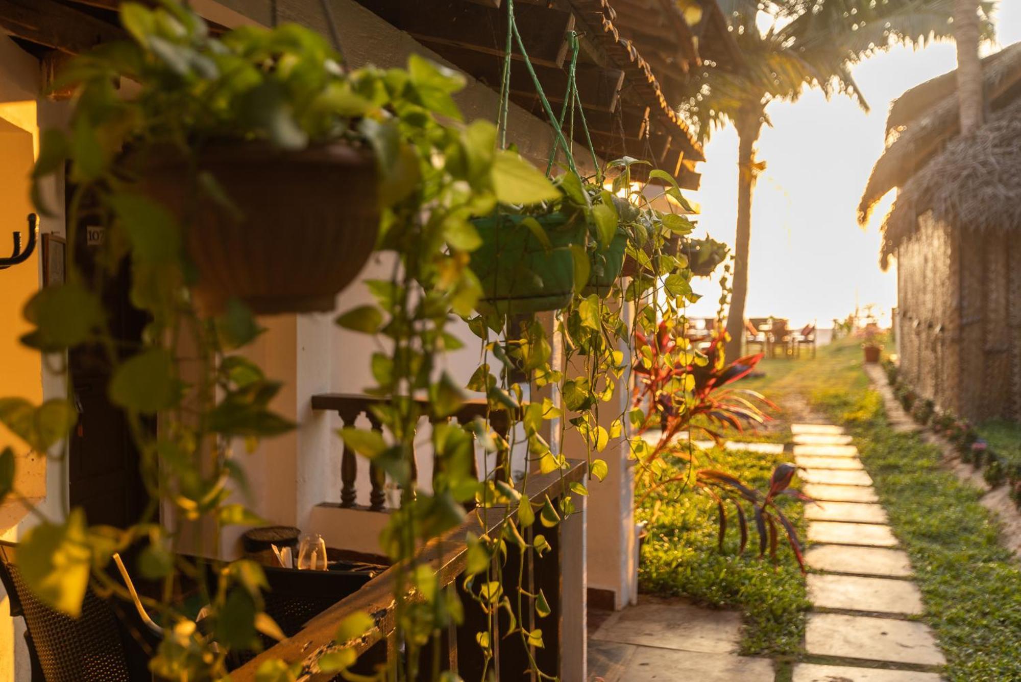 Forget Me Not Resort Agonda Exteriér fotografie